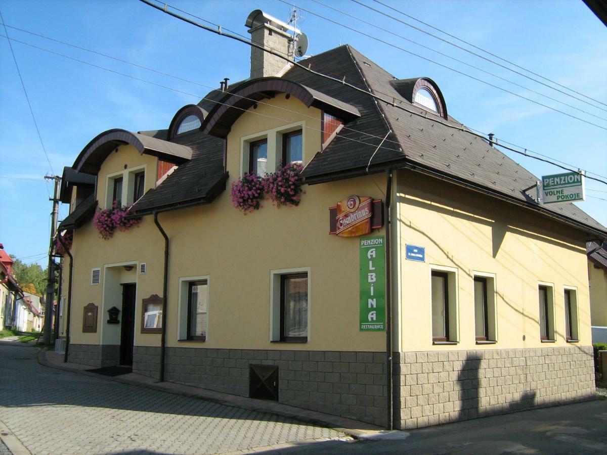 Penzion Albina - Restaurace Vysoké nad Jizerou エクステリア 写真
